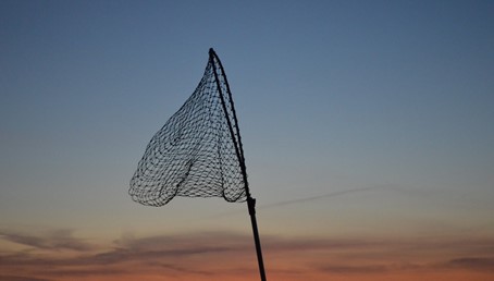 Obrázek2