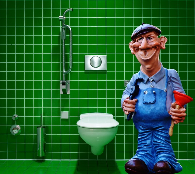 instalatér u wc